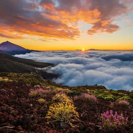 Vistas Al Atlantico Y Al Teide. *